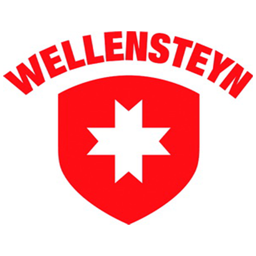 www.wellensteyn.com